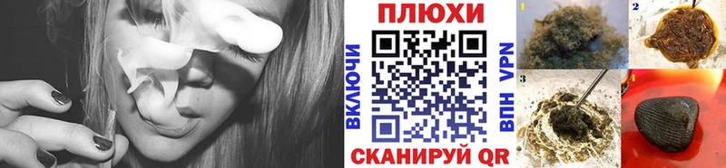 закладки  Карачаевск  ГАШИШ индика сатива 