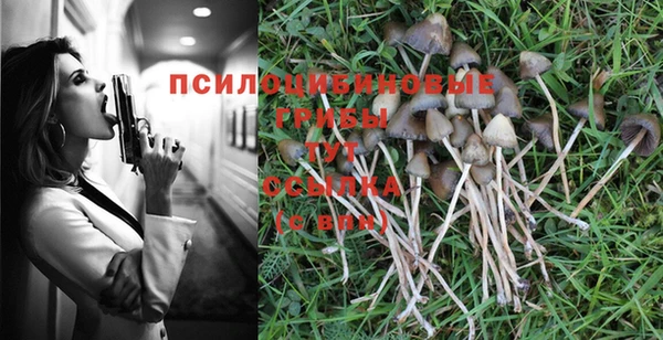 COCAINE Михайлов
