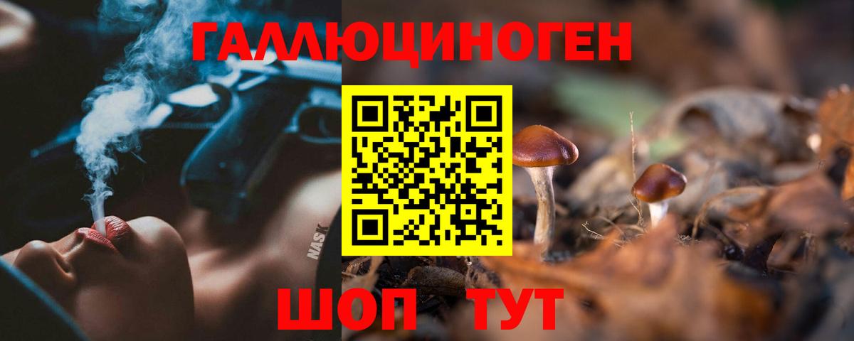 Псилоцибиновые грибы мухоморы  Карачаевск 